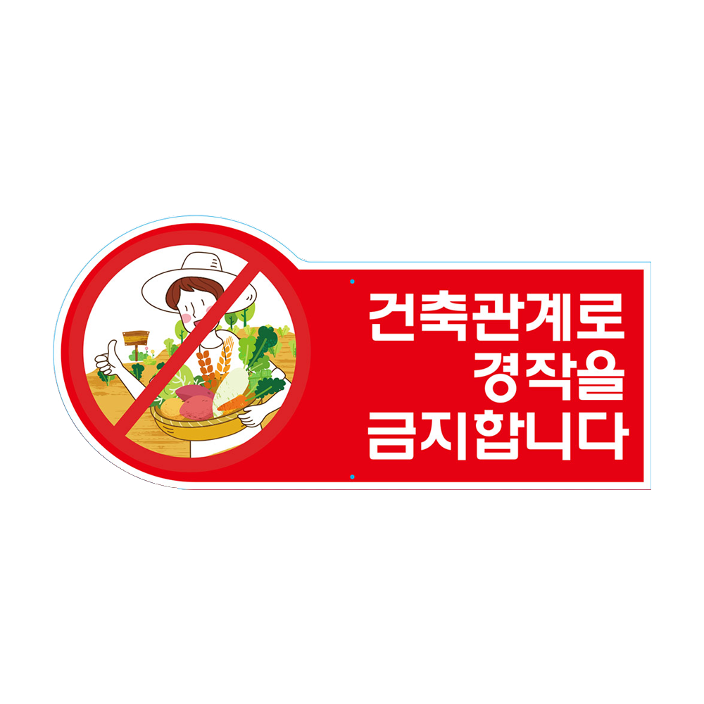 디자인선택