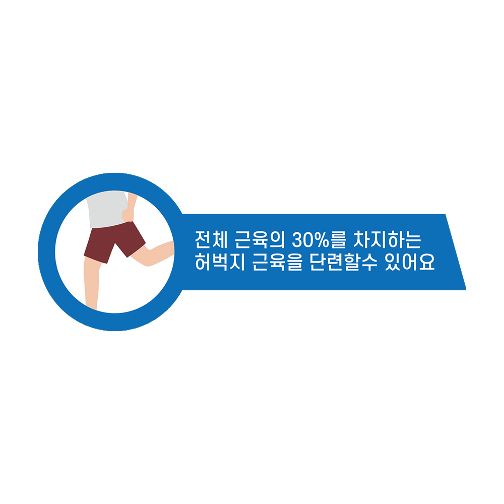 디자인선택