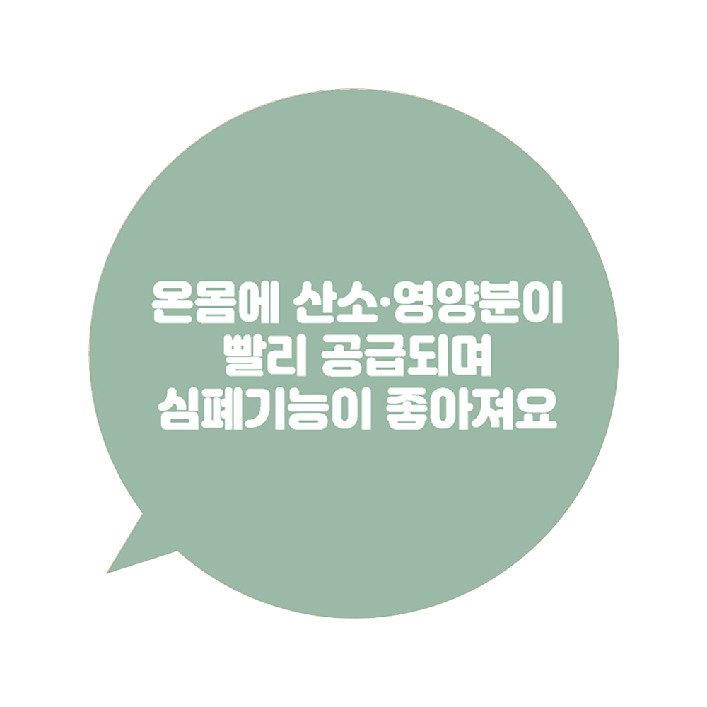 디자인선택