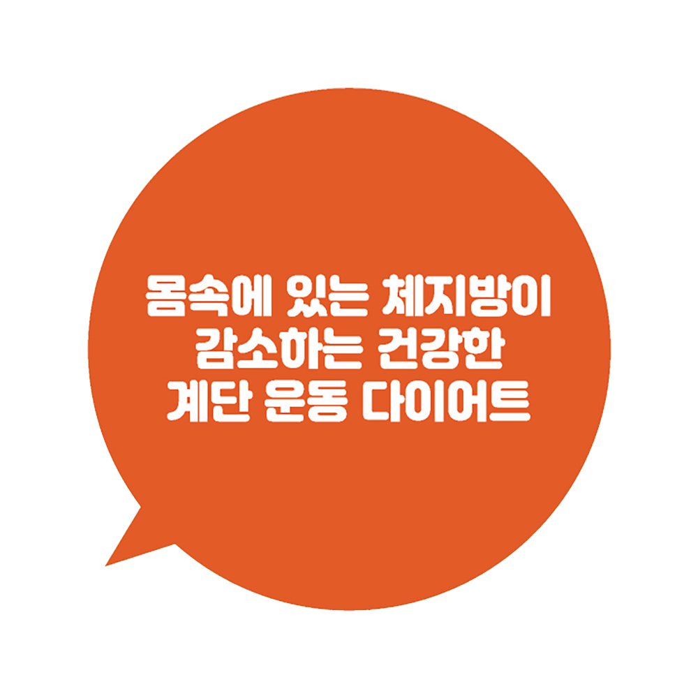 디자인선택